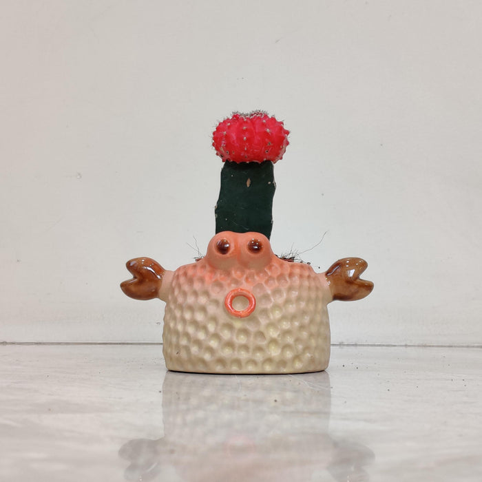 Crab Ceramic Planter