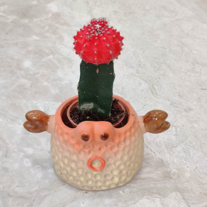 Crab Ceramic Planter