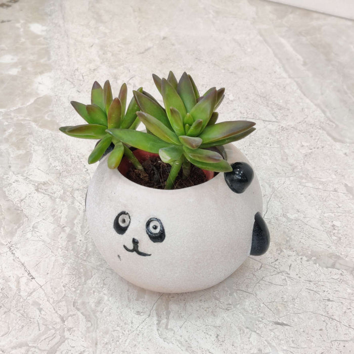 Panda Ceramic Planter