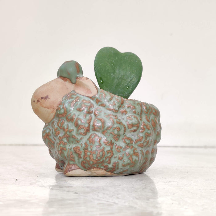 Woolly Sheep Ceramic Planter