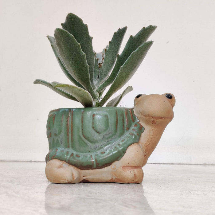 Turtle Ceramic Planter
