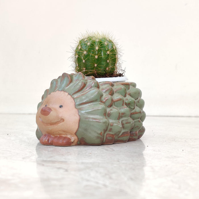 Hedgehog Ceramic Planter