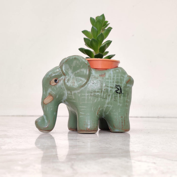 Royal Elephant Ceramic Planter