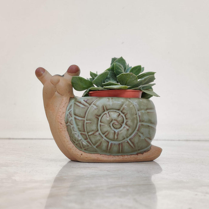 Spiral Snail Ceramic Planter