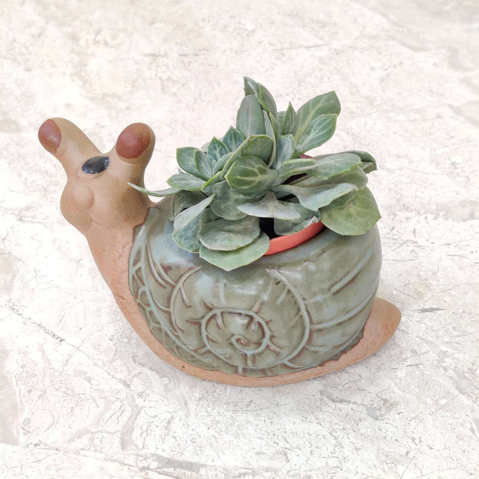 Spiral Snail Ceramic Planter