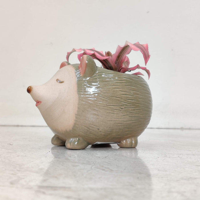Smiling Hedgehog Ceramic Planter