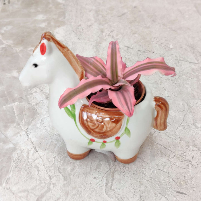 White Pony Ceramic Planter