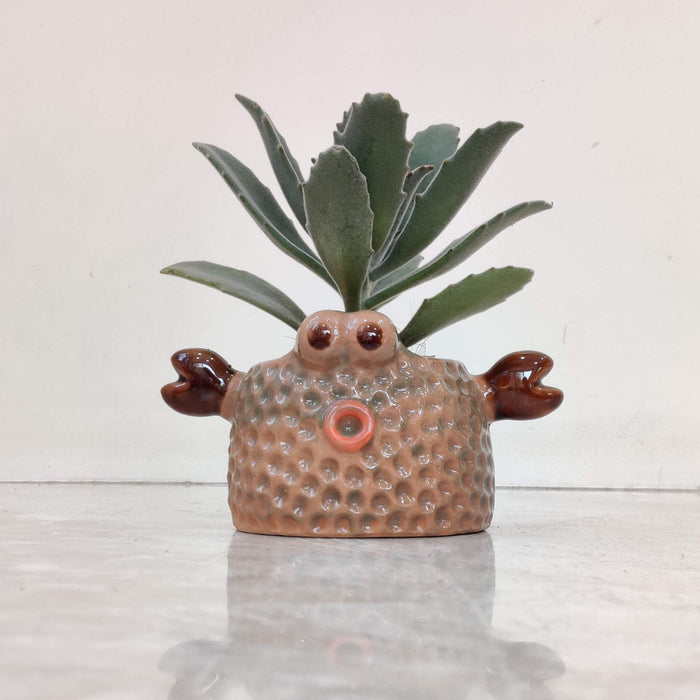 Cute Crab Ceramic Plante