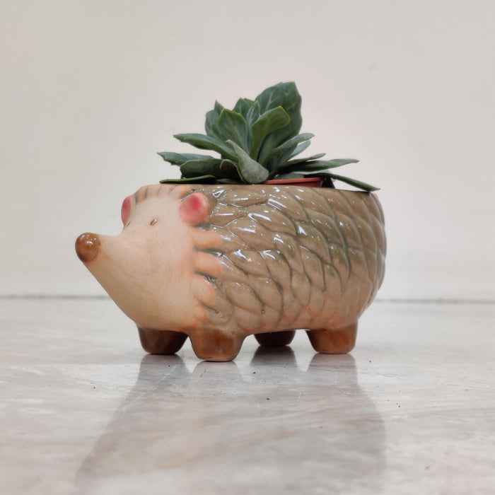 Baby Hedgehog Ceramic Planter