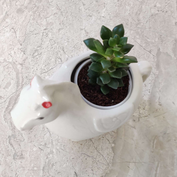 Royal White Horse Ceramic Planter