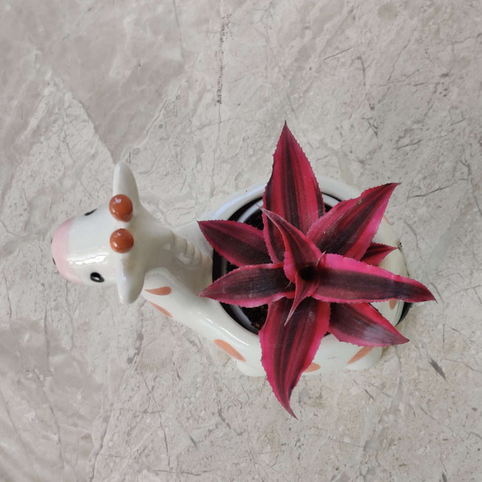 Happy Giraffe Ceramic Planter