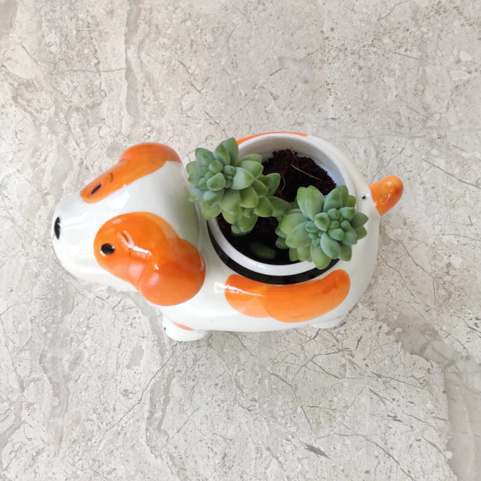 Happy Puppy Ceramic Planter
