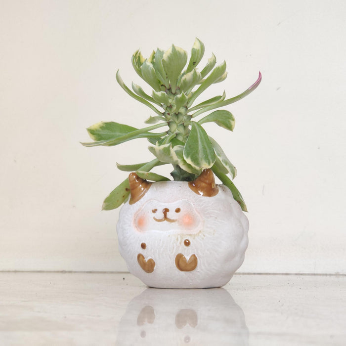 Fluffy Highland Cow Ceramic Planter