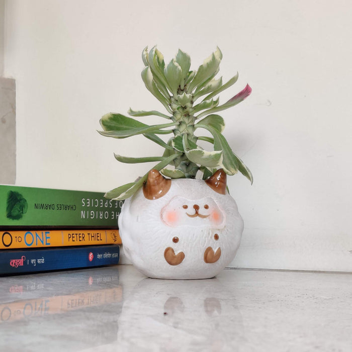 Fluffy Highland Cow Ceramic Planter