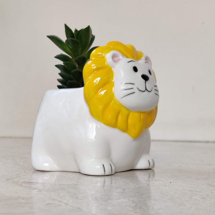 Sunny Lion Ceramic Planter