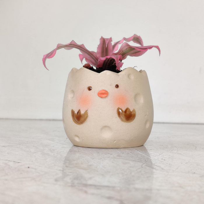 Happy Chick Eggshell Ceramic Planter