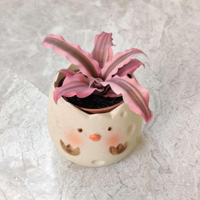 Happy Chick Eggshell Ceramic Planter