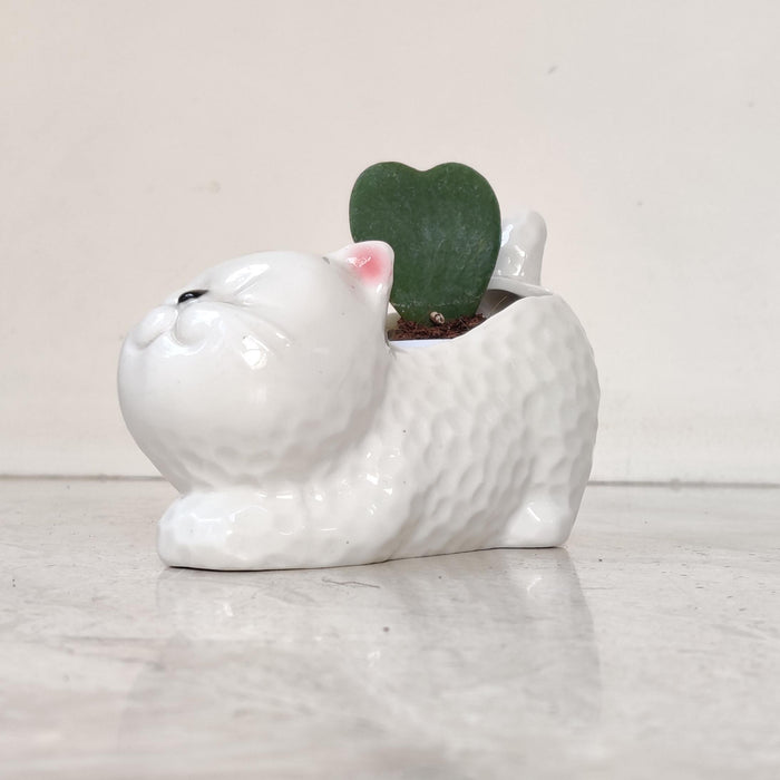Sleeping White Cat Ceramic Planter