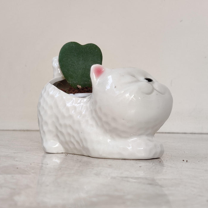 Sleeping White Cat Ceramic Planter