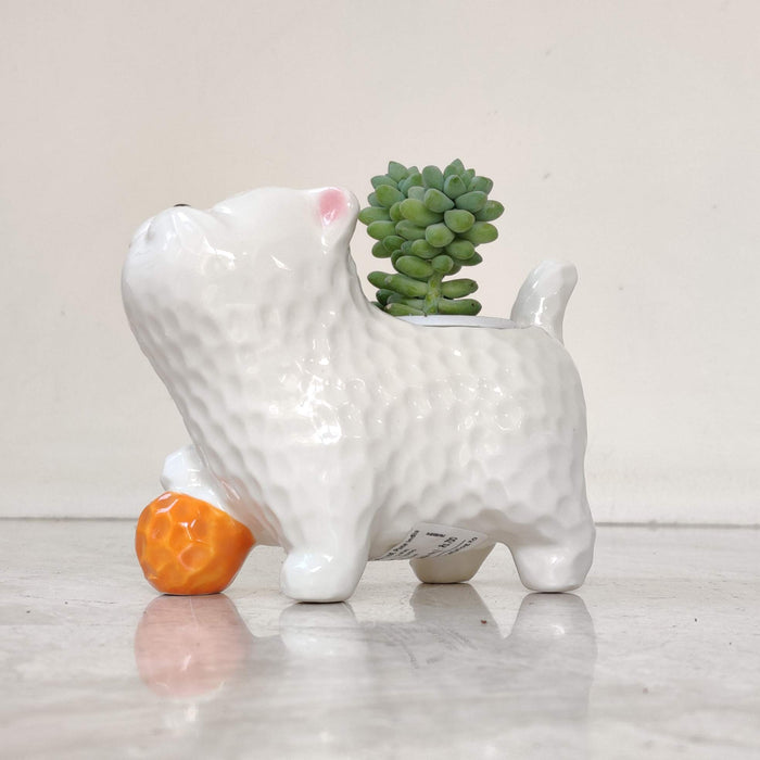 Playful Kitty Ball Ceramic Planter