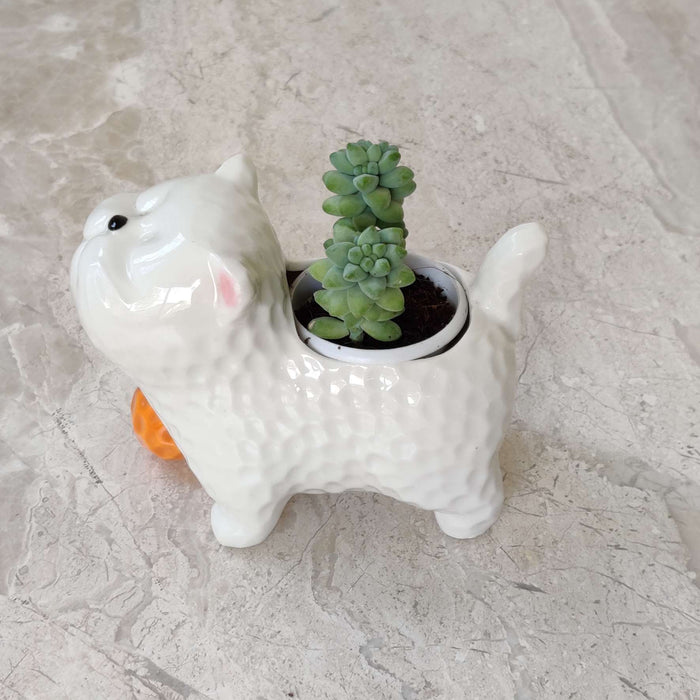 Playful Kitty Ball Ceramic Planter