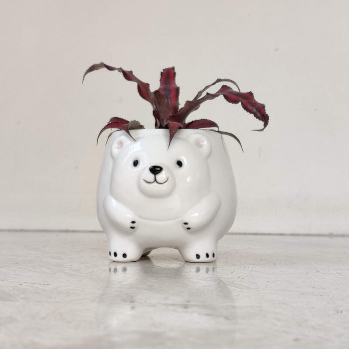 Polar Bear Ceramic Planter