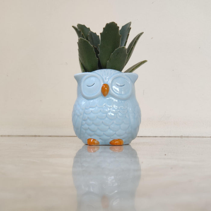 Sleepy Owl Ceramic Planter