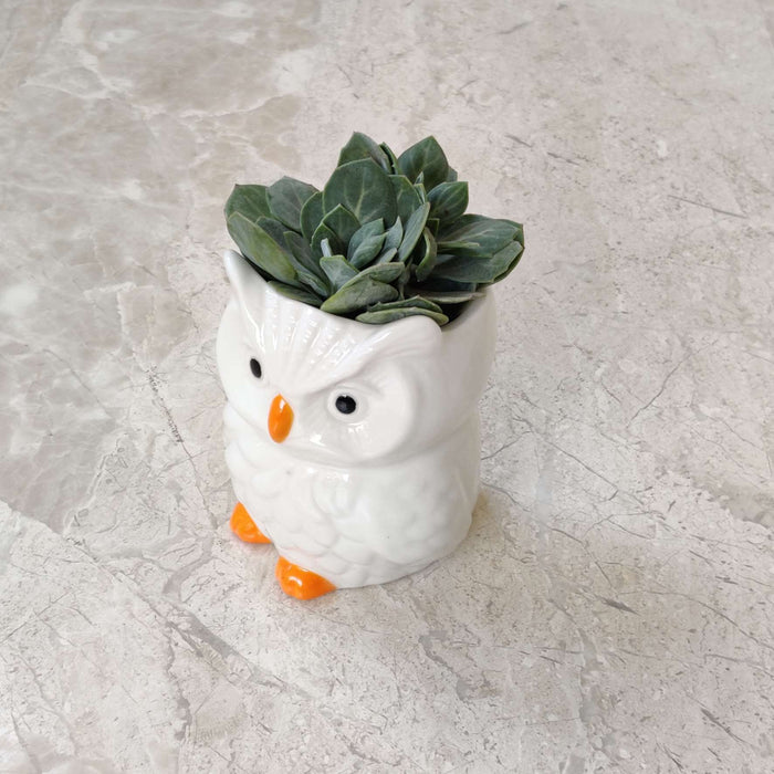 Snowy Owl Ceramic Planter
