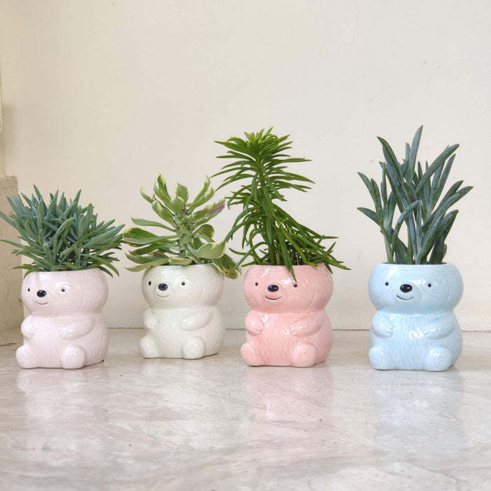 Sleepy Sloth Ceramic Planter