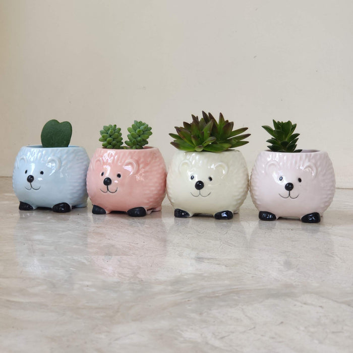 Happy Hedgehog Ceramic Planter
