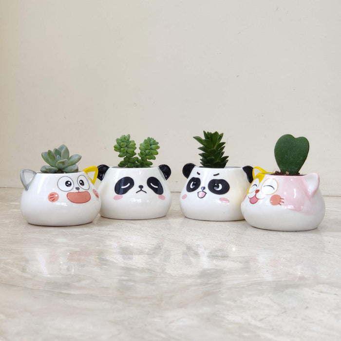 Cheeky Panda Face Ceramic Planter