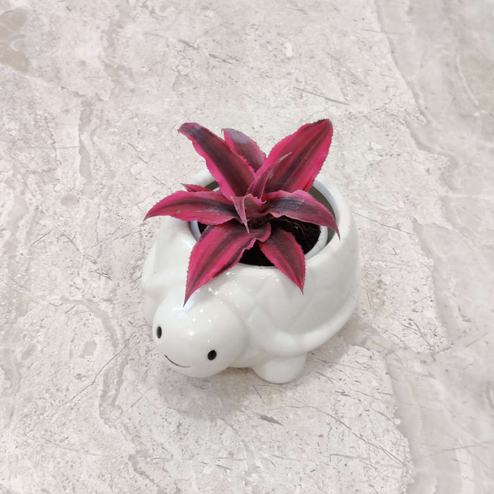 Tiny Turtle Ceramic Planter