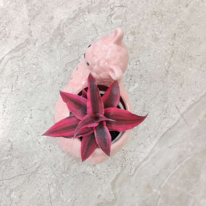 Blush Alpaca Ceramic Planter