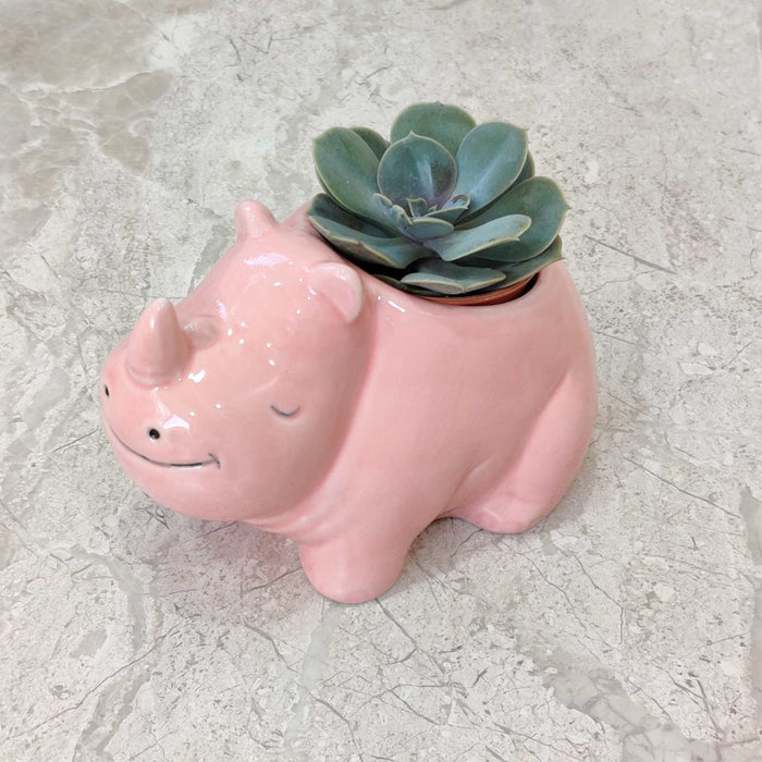 Blush Rhino Ceramic Planter
