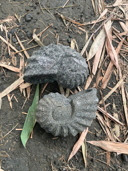 SHELL