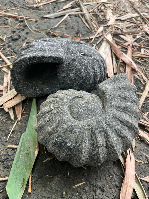 SHELL