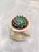 Ideal corporate gift: succulent plant
