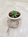 Adaptable succulent, fits any office setting