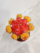Indoor red and yellow dual-tone moon cactus