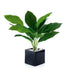 Real Touch 12 Green Calla  Lily Plant