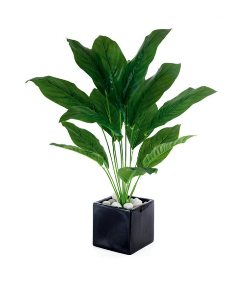 Real Touch15 Long Leaves Calla  Lily Plant