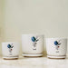 modern-white-plant-pot-artistic-leaf-print