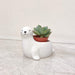 decorative-seal-ceramic-pot-tabletop-planter