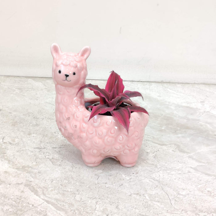 Premium pink alpaca ceramic planter ideal for succulents and air plants