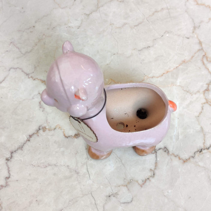 Premium alpaca ceramic planter ideal for succulents and air plants