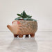 Animal Ceramic Plant Pot