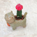 Animal Ceramic Indoor Planter