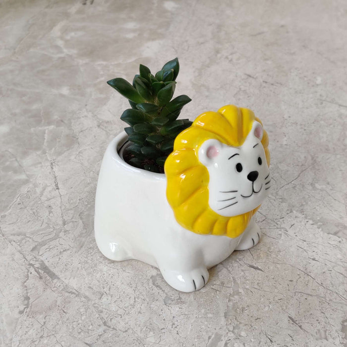 Animal Ceramic Plant Pot