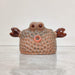 Decorative crab ceramic planter for home and office decor