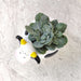 Decorative cow ceramic planter for tabletop and shelf display